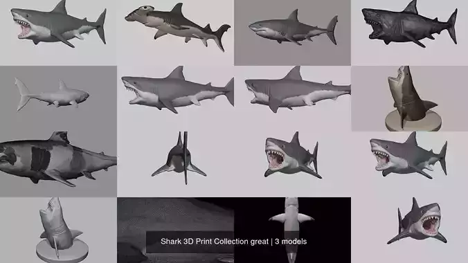 Shark 3D Print Collection great 