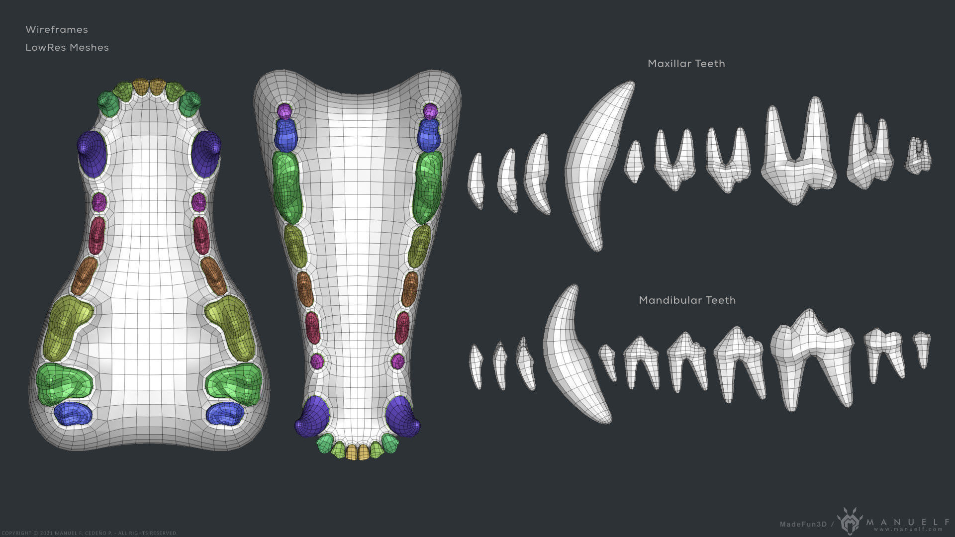 Wolf Dog Teeth Set 3D model_15