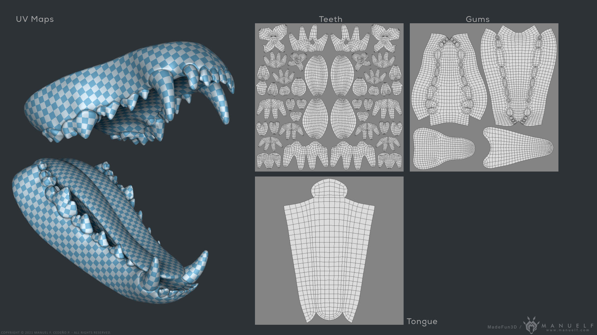 Wolf Dog Teeth Set 3D model_17