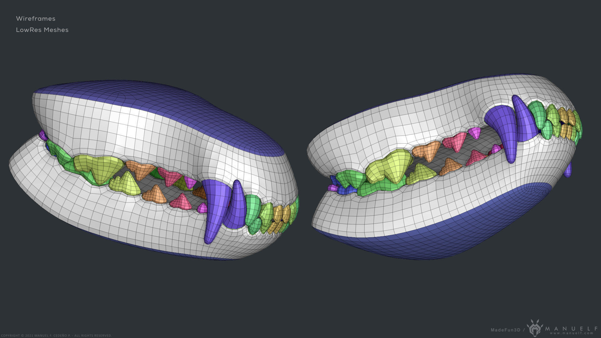 Wolf Dog Teeth Set 3D model_12