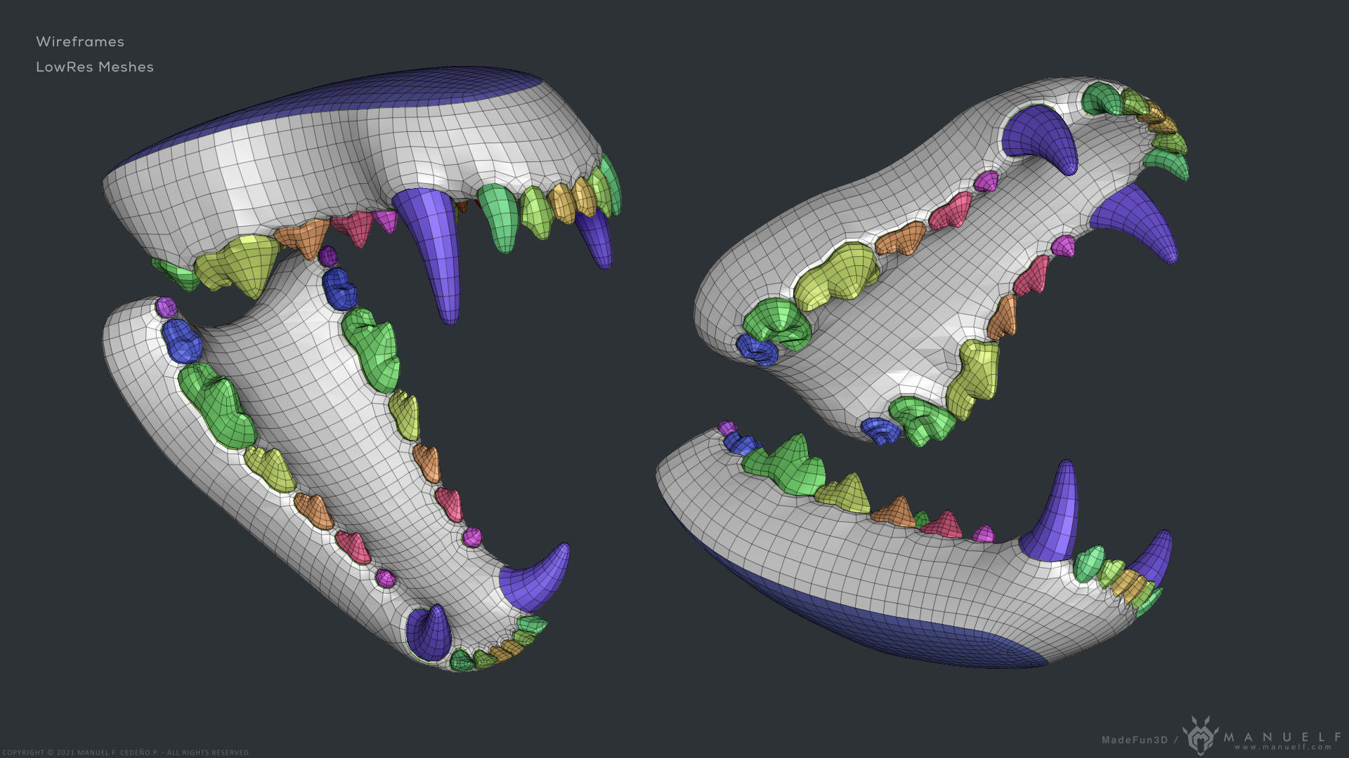 Wolf Dog Teeth Set 3D model_13
