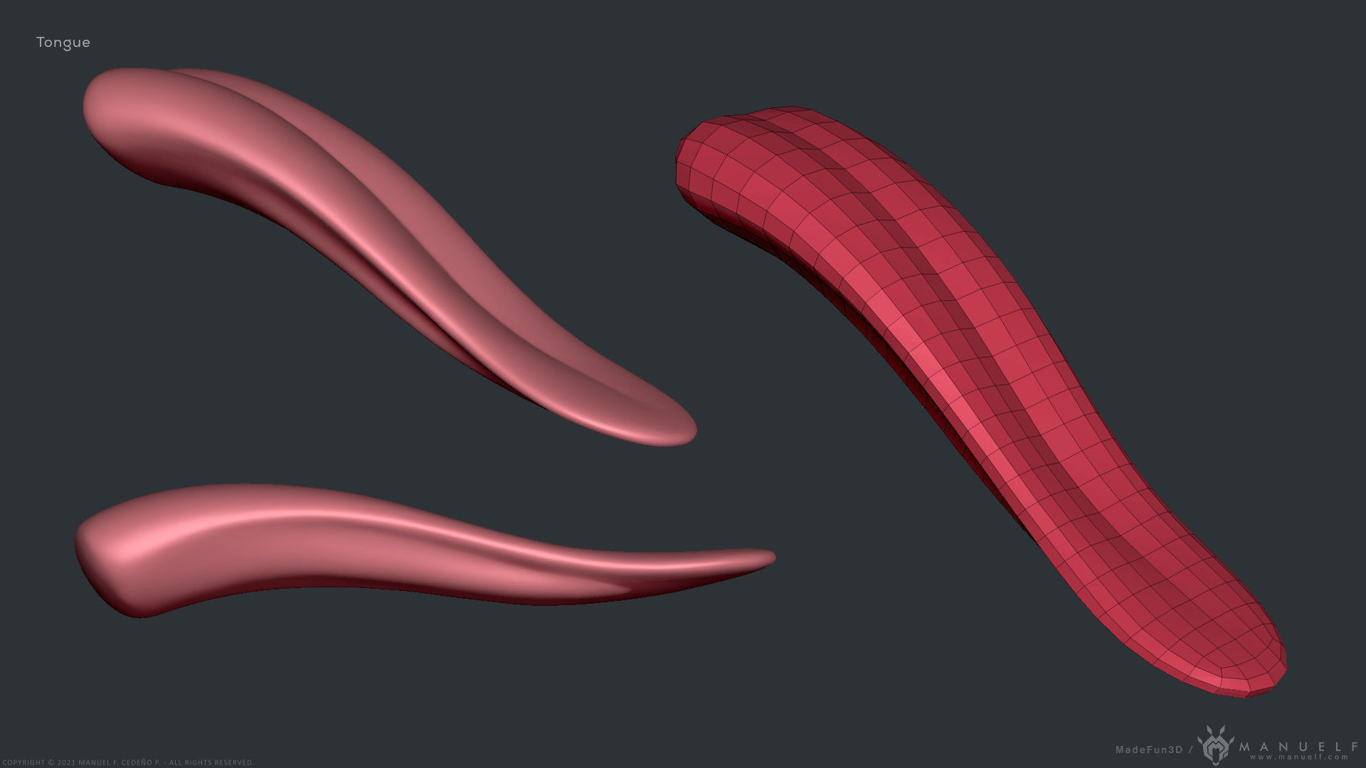 Wolf Dog Teeth Set 3D model_16