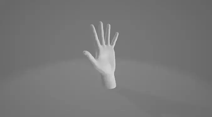 HAND 3 Low-poly 3D model
