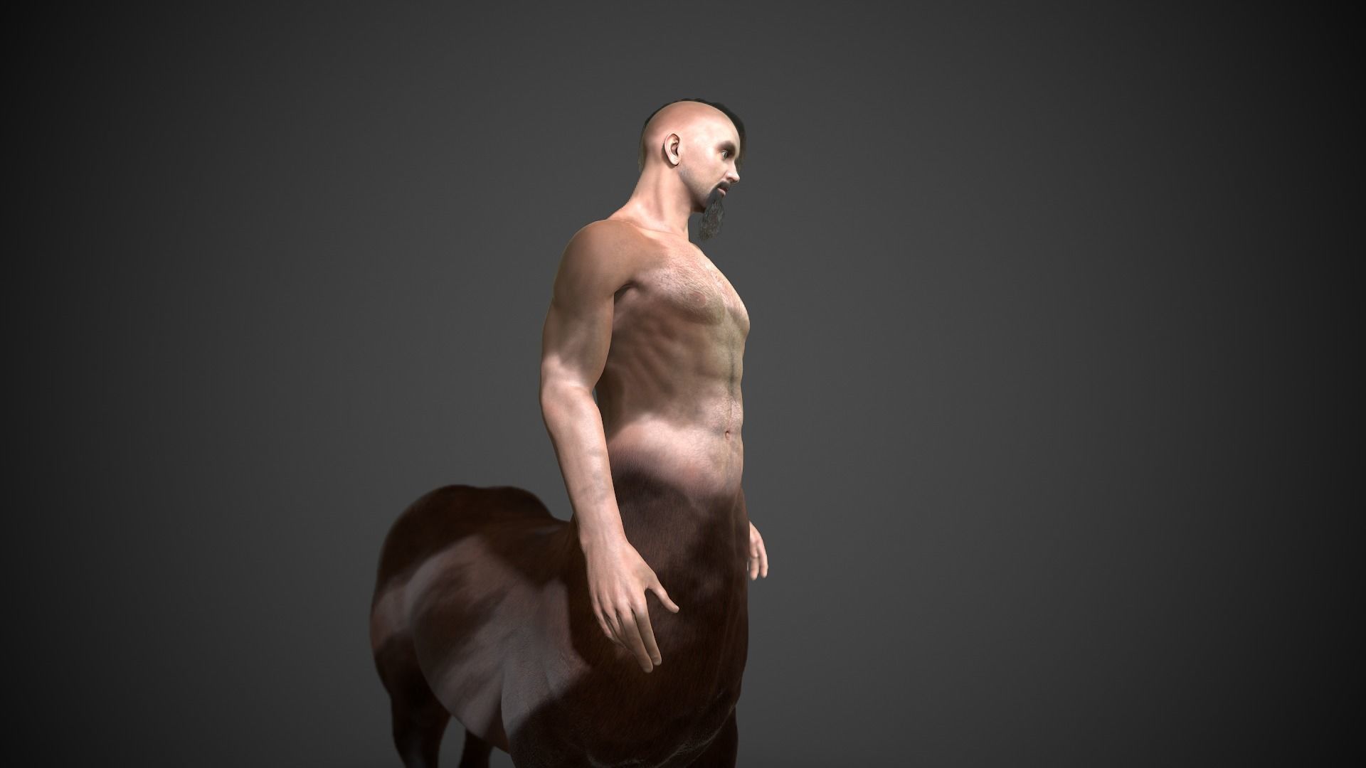 Rigged Centuar Low-poly 3D model_5