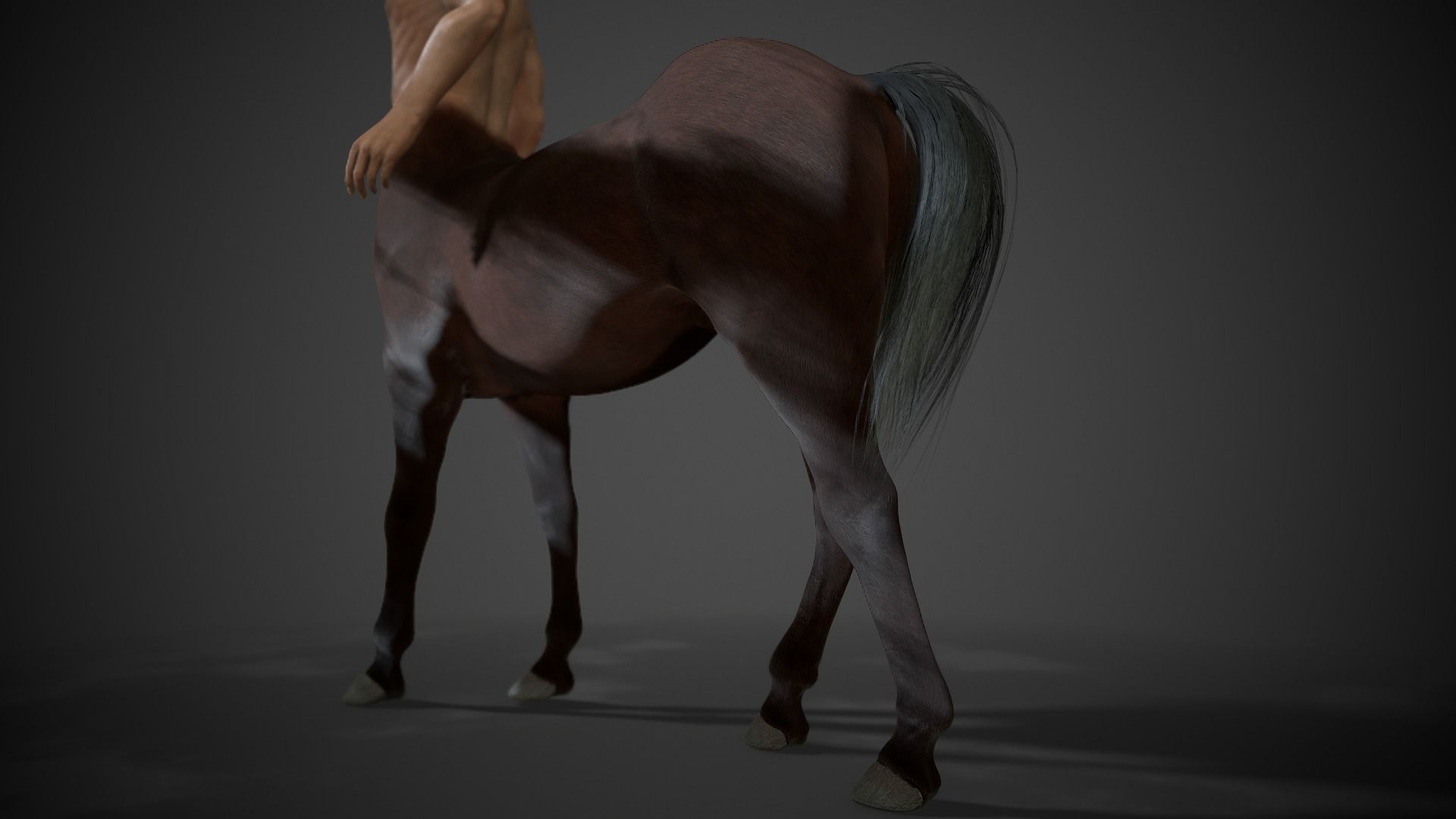 Rigged Centuar Low-poly 3D model_6