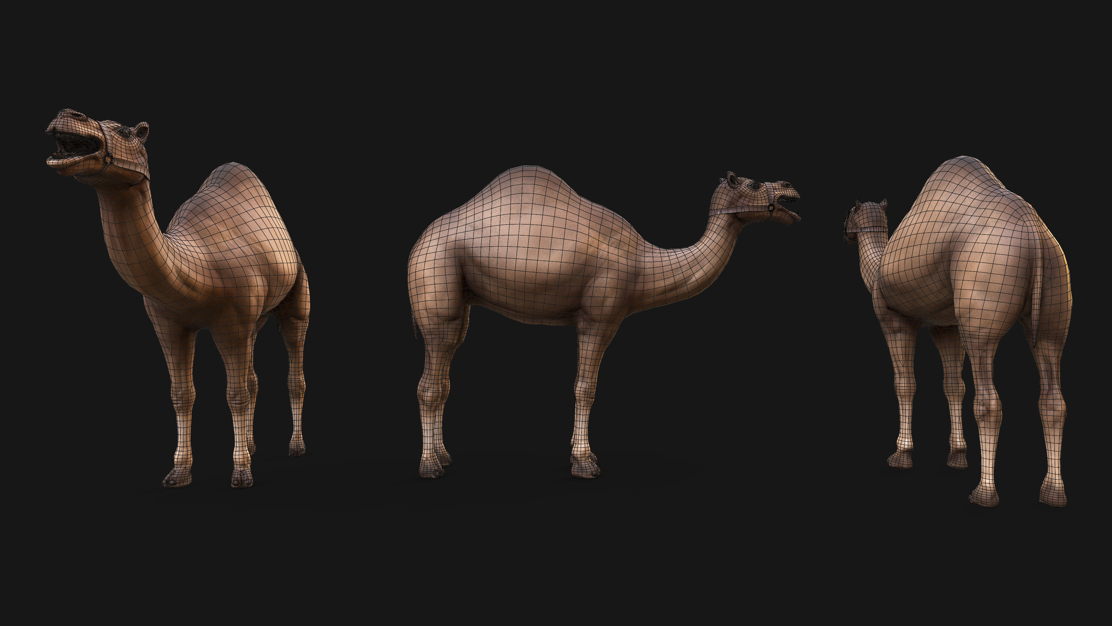 Top-Down Desert Town - LowPoly Low-poly 3D model_41