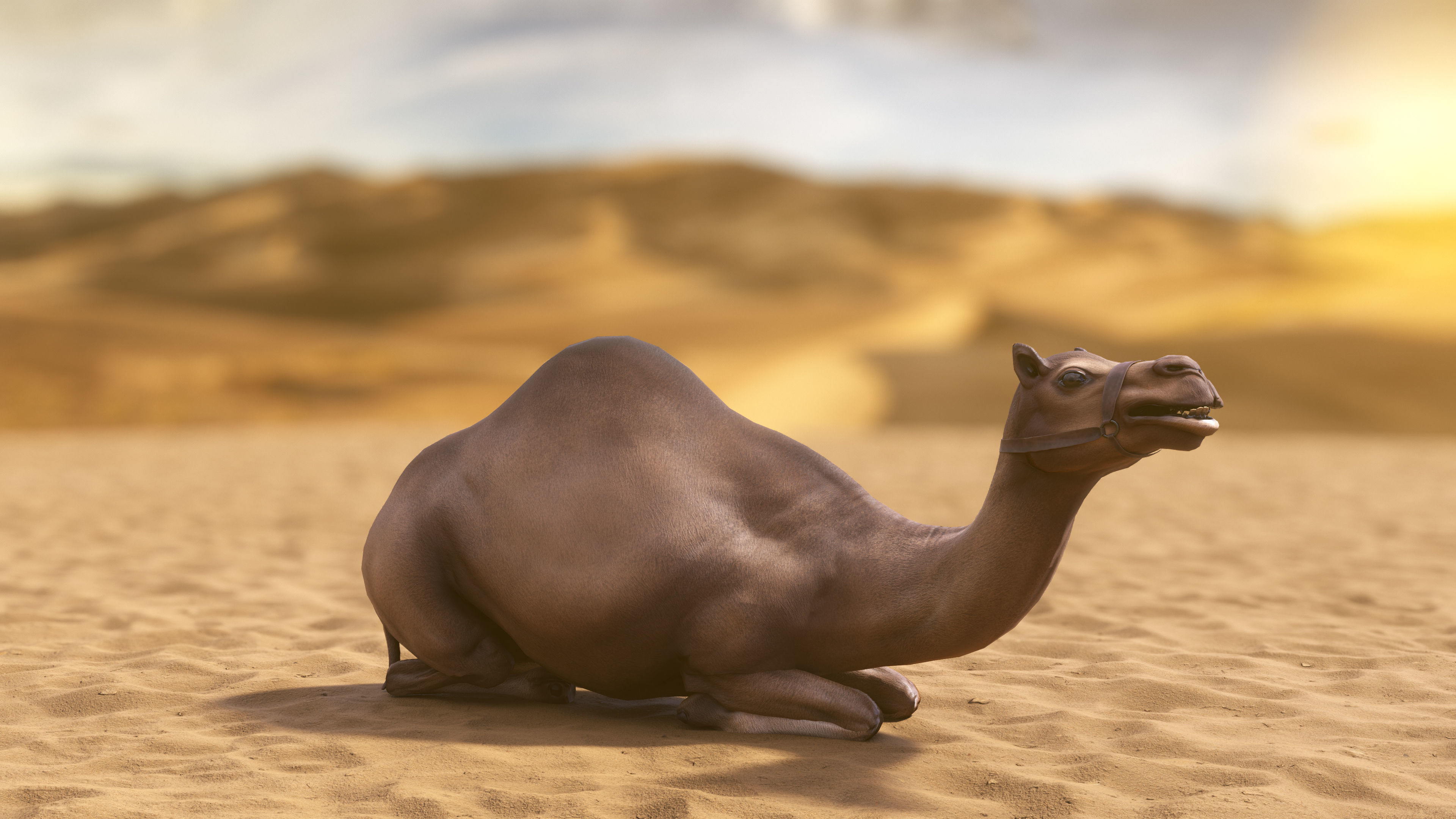 Top-Down Desert Town - LowPoly Low-poly 3D model_37