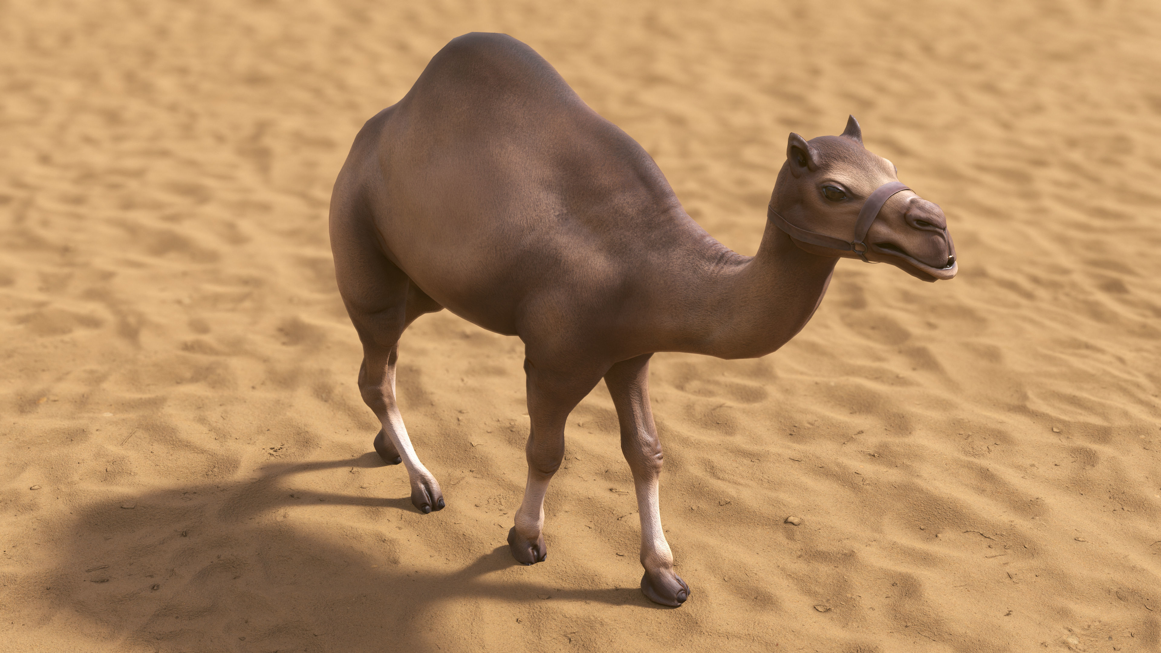 Top-Down Desert Town - LowPoly Low-poly 3D model_35