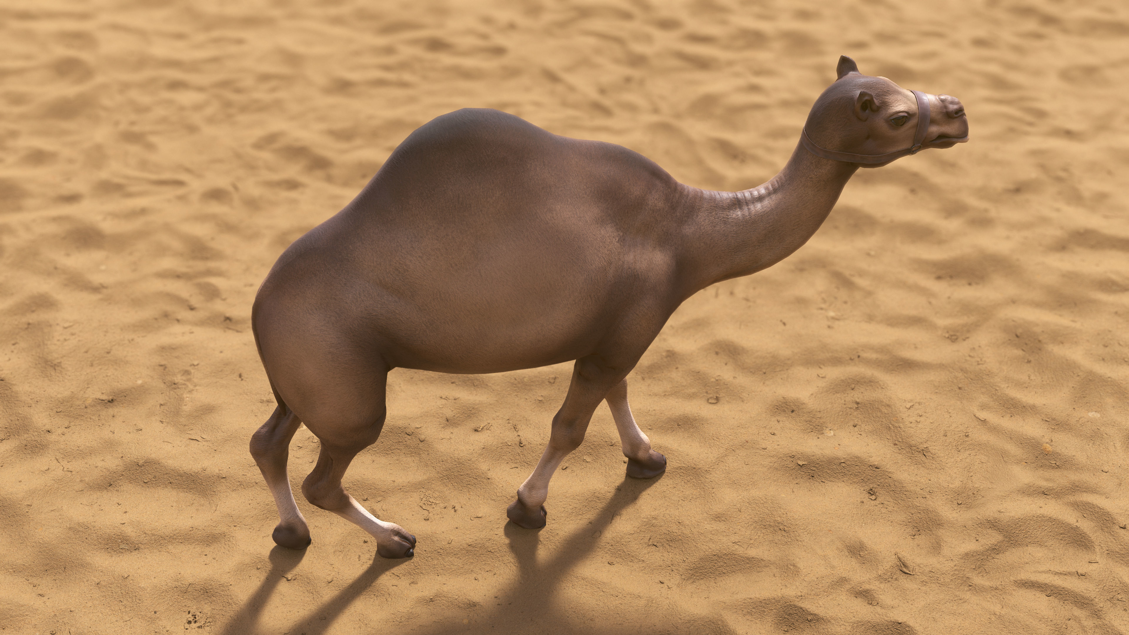 Top-Down Desert Town - LowPoly Low-poly 3D model_36