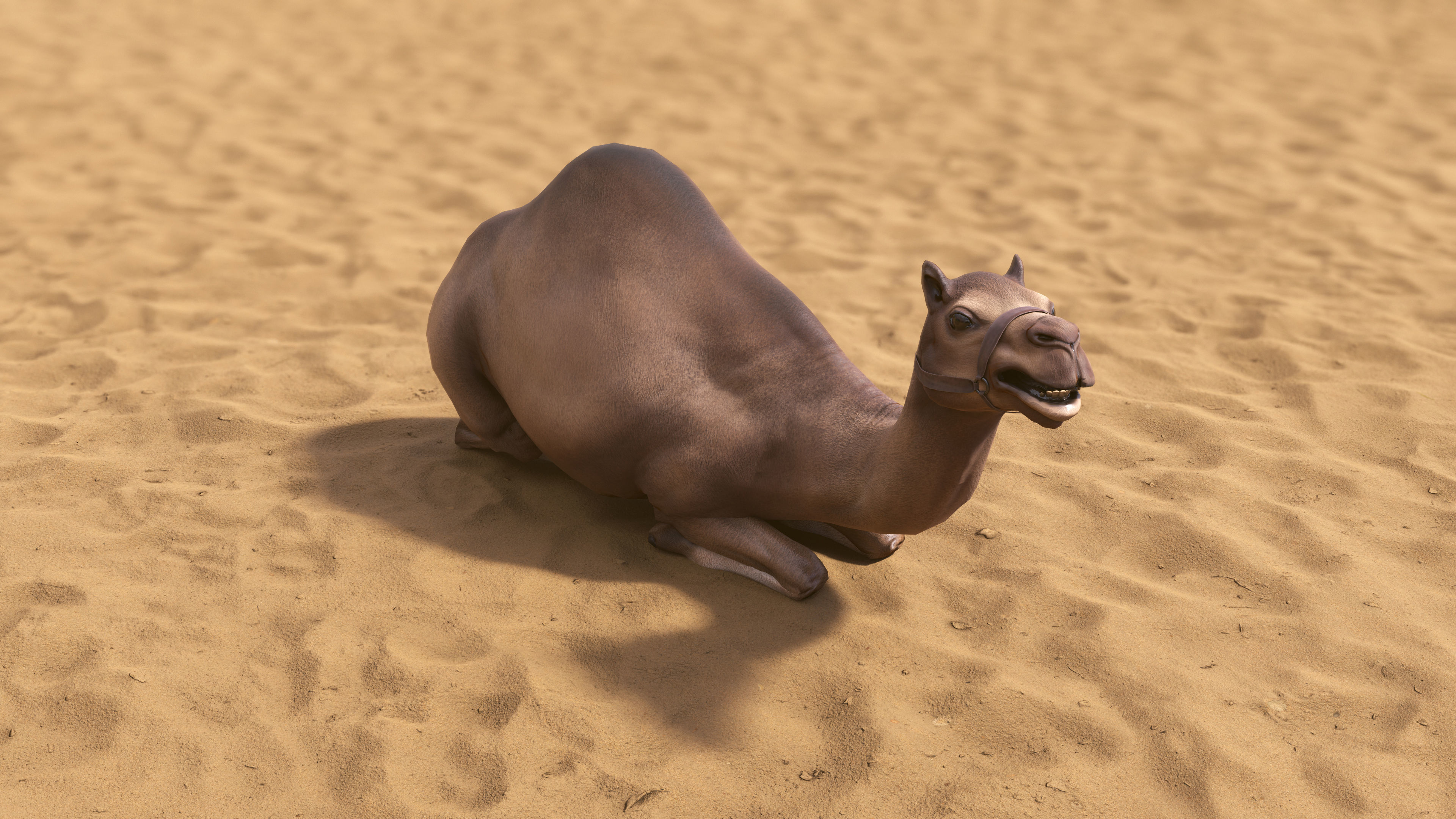 Top-Down Desert Town - LowPoly Low-poly 3D model_39