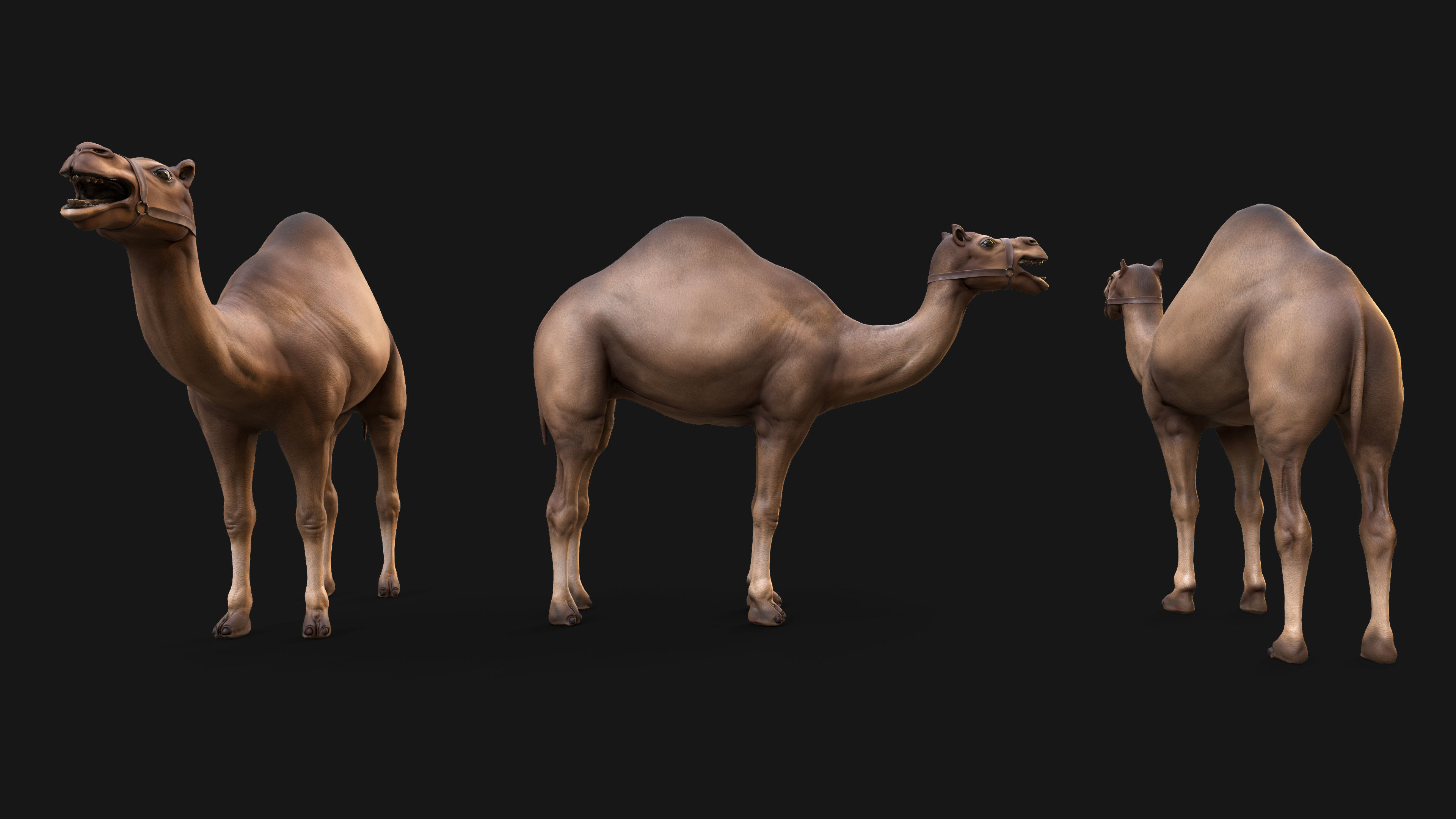 Top-Down Desert Town - LowPoly Low-poly 3D model_40