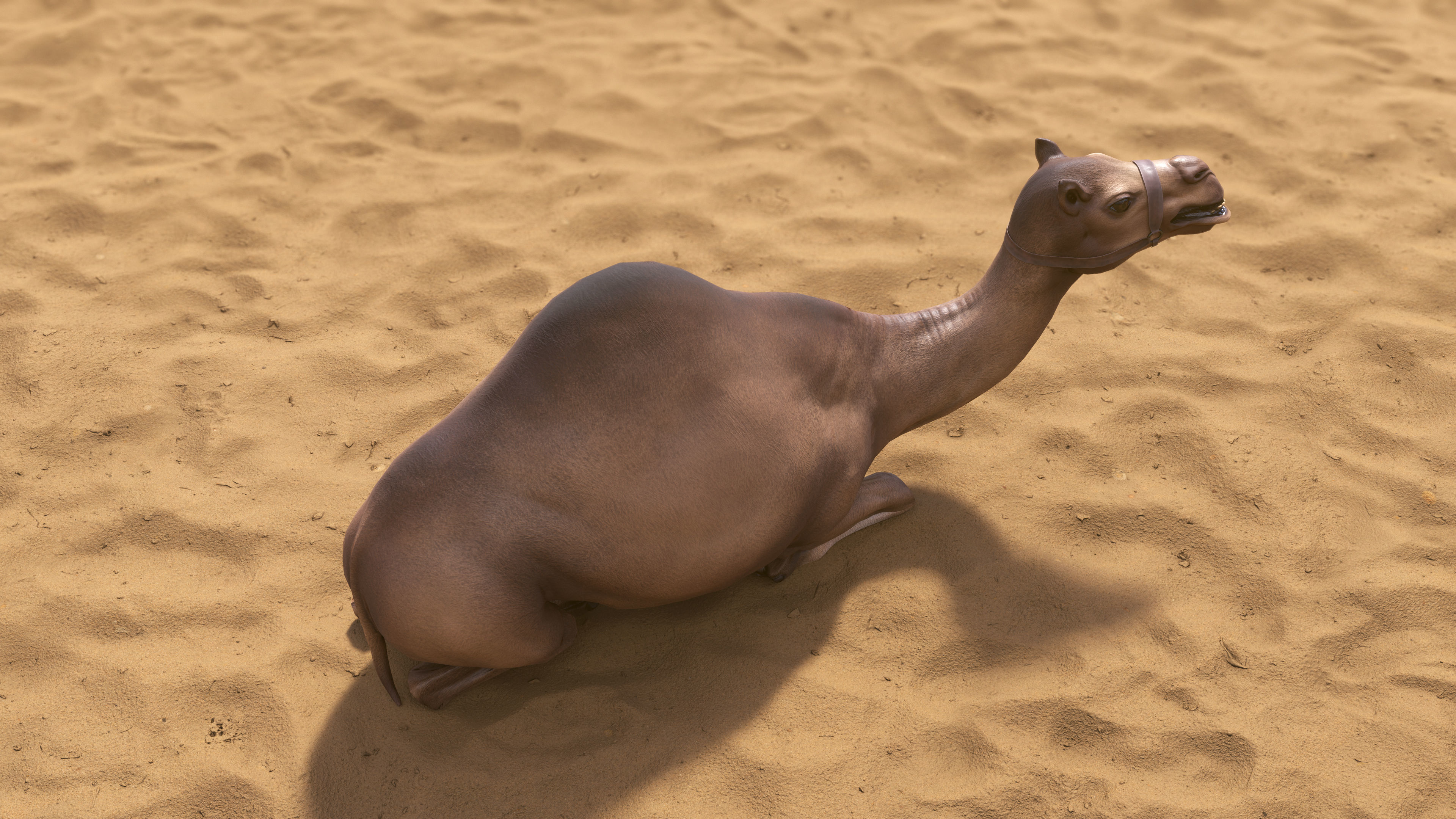 Top-Down Desert Town - LowPoly Low-poly 3D model_38