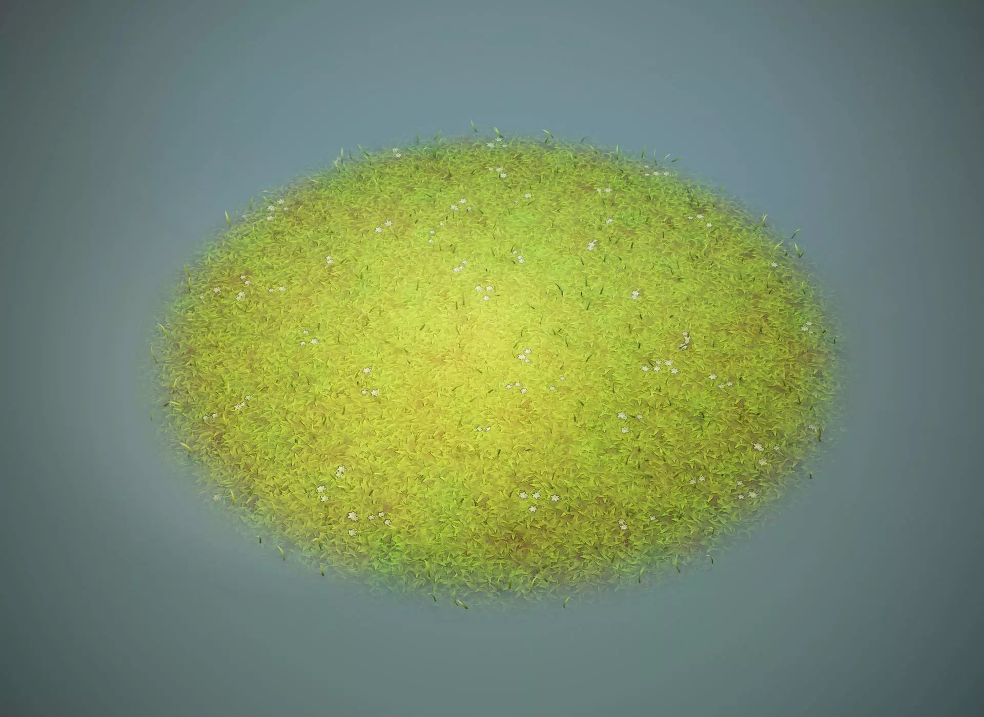 Cartoon Grass 3D Model Low-poly 3D model