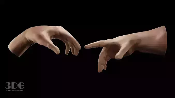 Hand anatomy