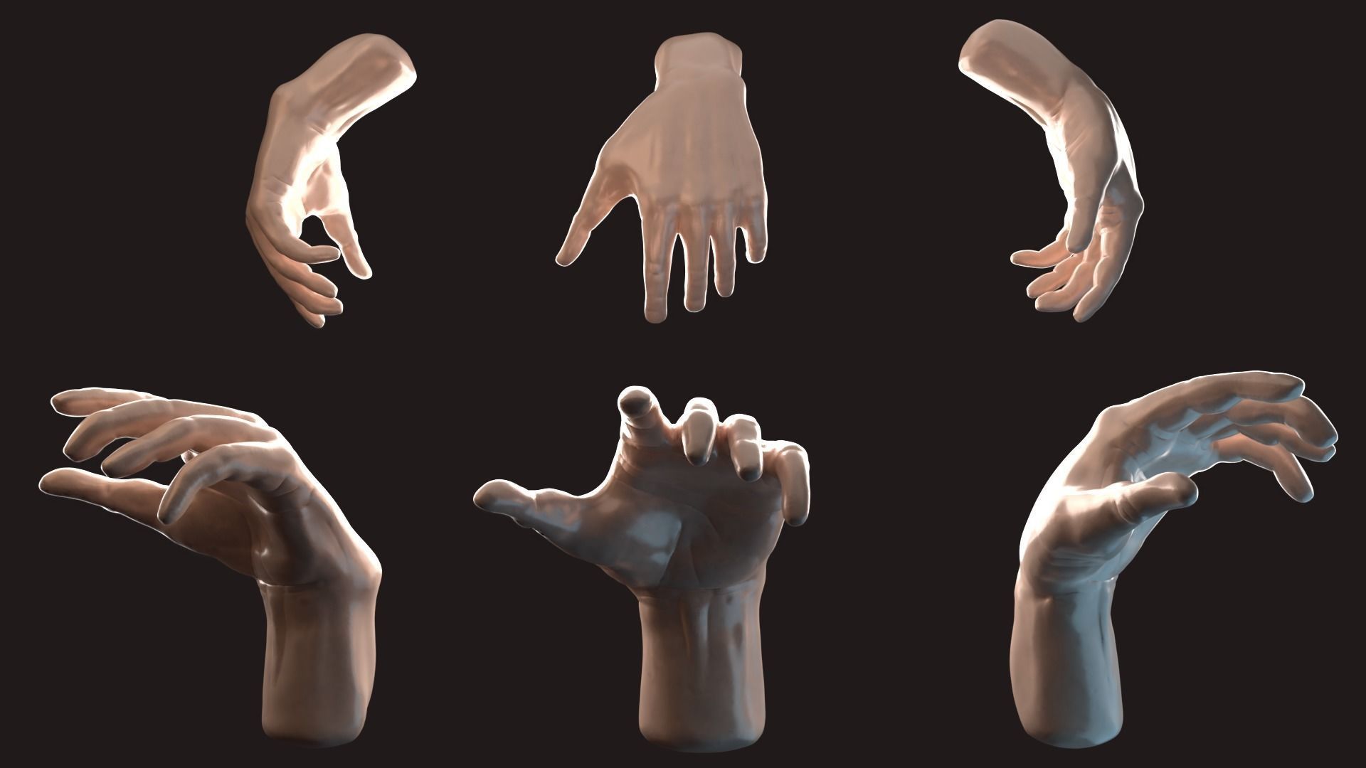Hand anatomy 3D model_8
