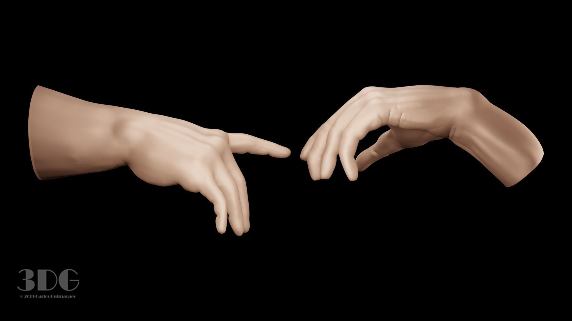 Hand anatomy 3D model_4