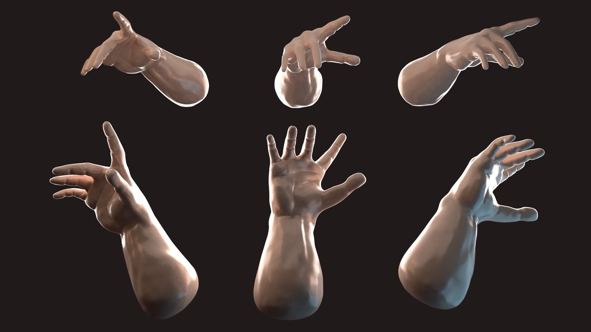 Hand anatomy 3D model_9