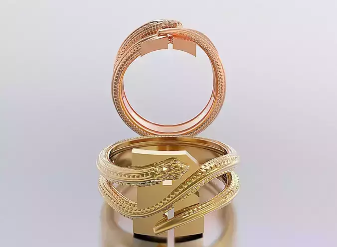 letter snake rings 3D print model