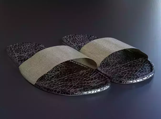 Slipper pair of sandals