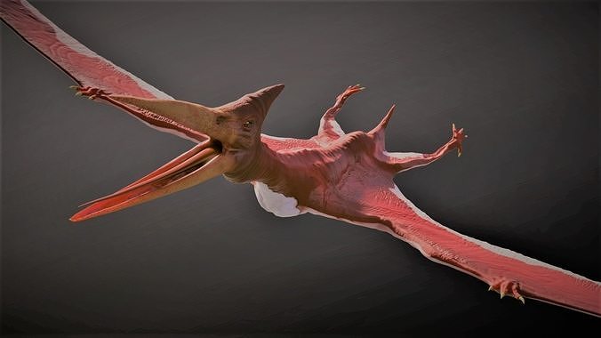 Pterodactyl dinosaur flying in air Low-poly 3D model