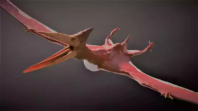 Pterodactyl dinosaur flying in air Low-poly 3D model