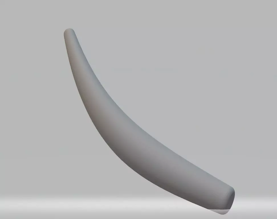 TOOTH whale horn Free 3D model_0
