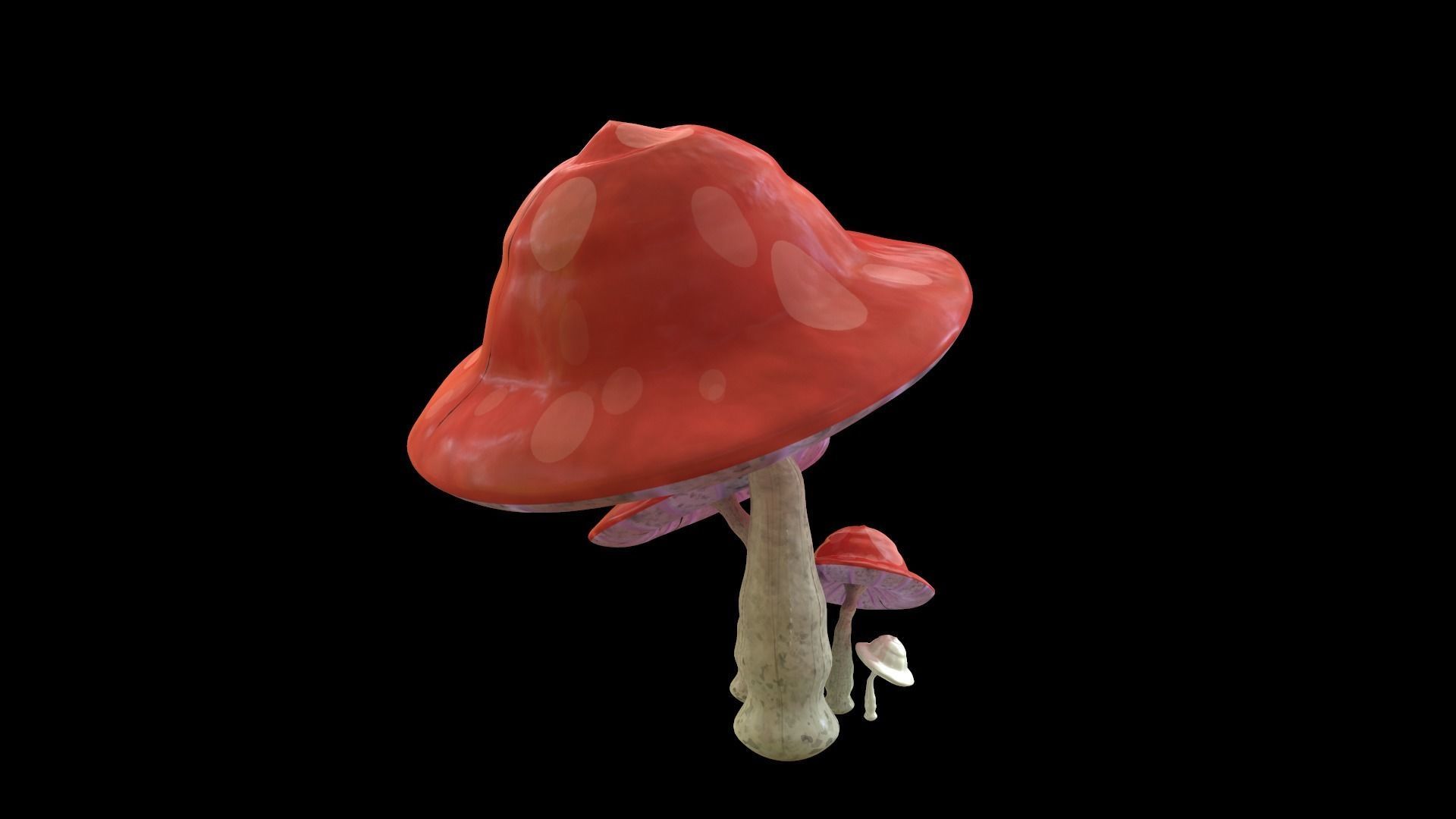 Mushrooms  Full Textures - PBR Asset High Poly 3D model_2