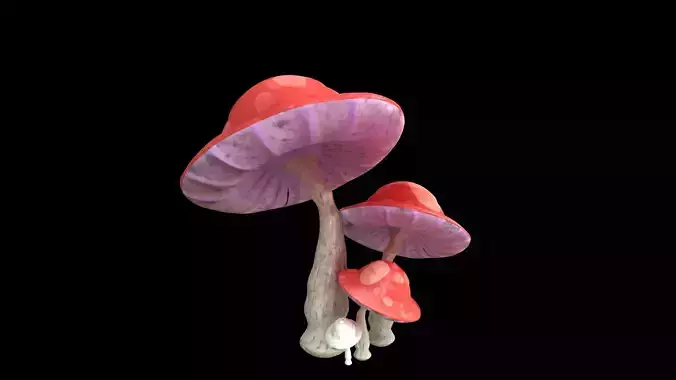 Mushrooms  Full Textures - PBR Asset High Poly
