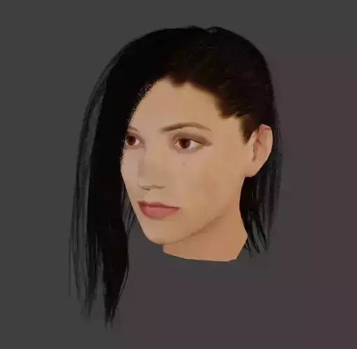 Braid and mid-long hair High Poly