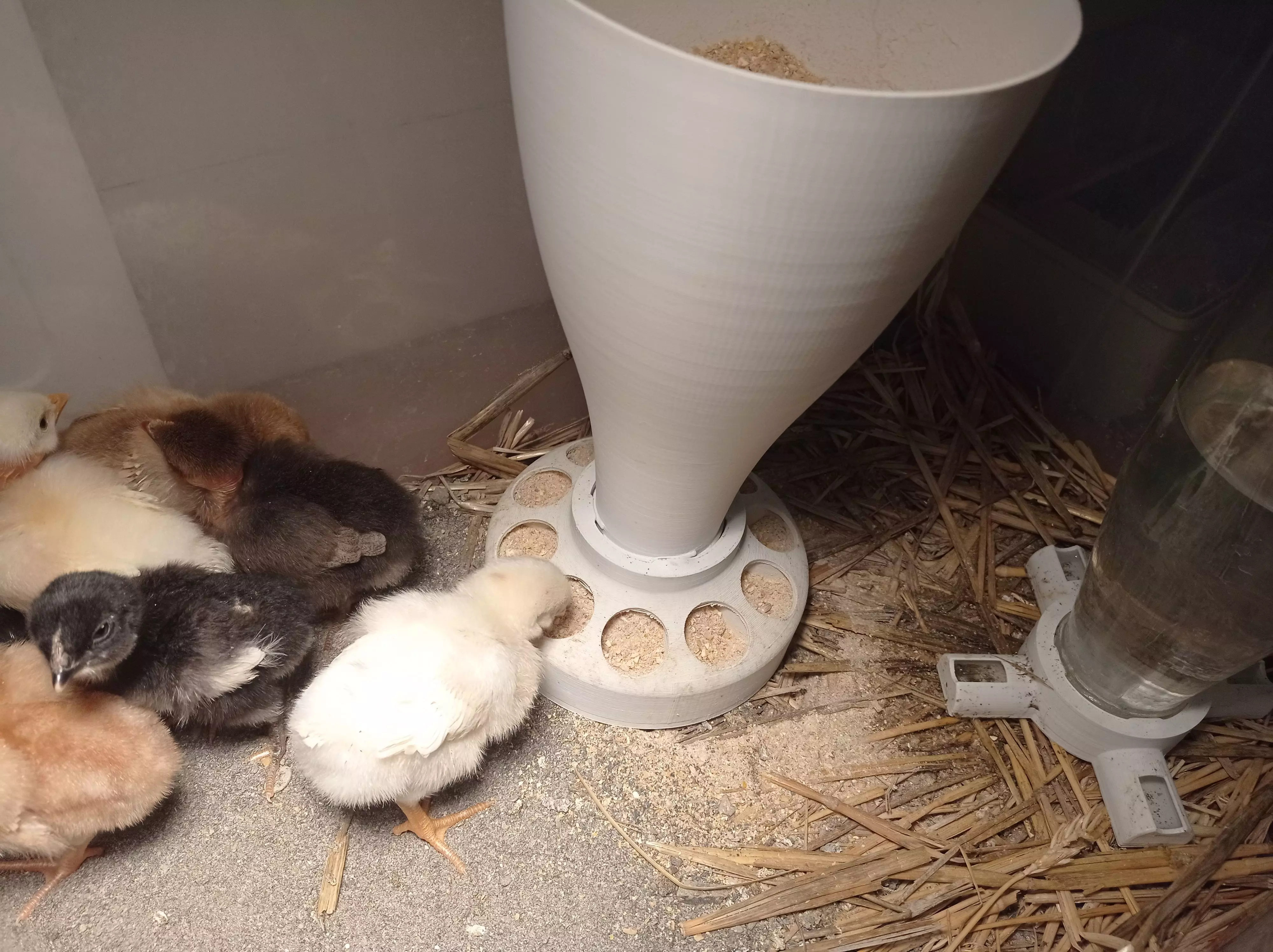 Food and water for the chicks Cibo e acqua per i pulcini 3D print model_0