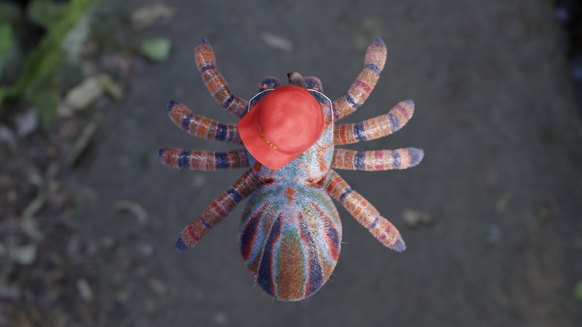 Cartoon Spider name Mirang 3D model_5