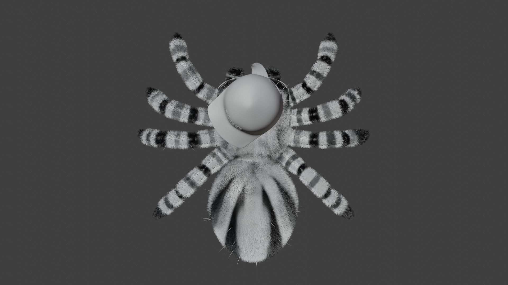 Cartoon Spider name Mirang 3D model_17