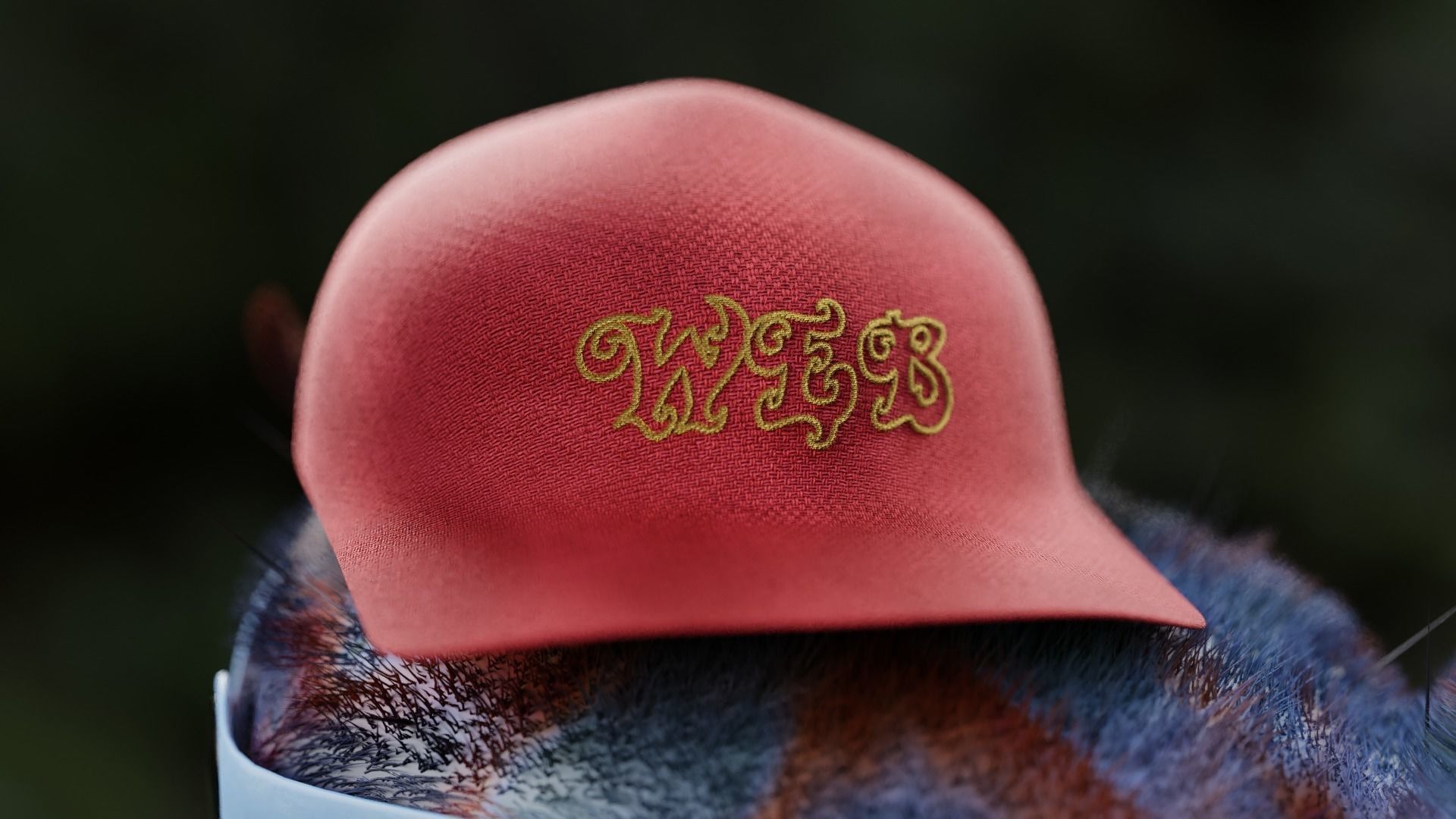 Cartoon Spider name Mirang 3D model_9