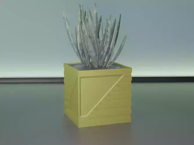 succulent plant pot 30