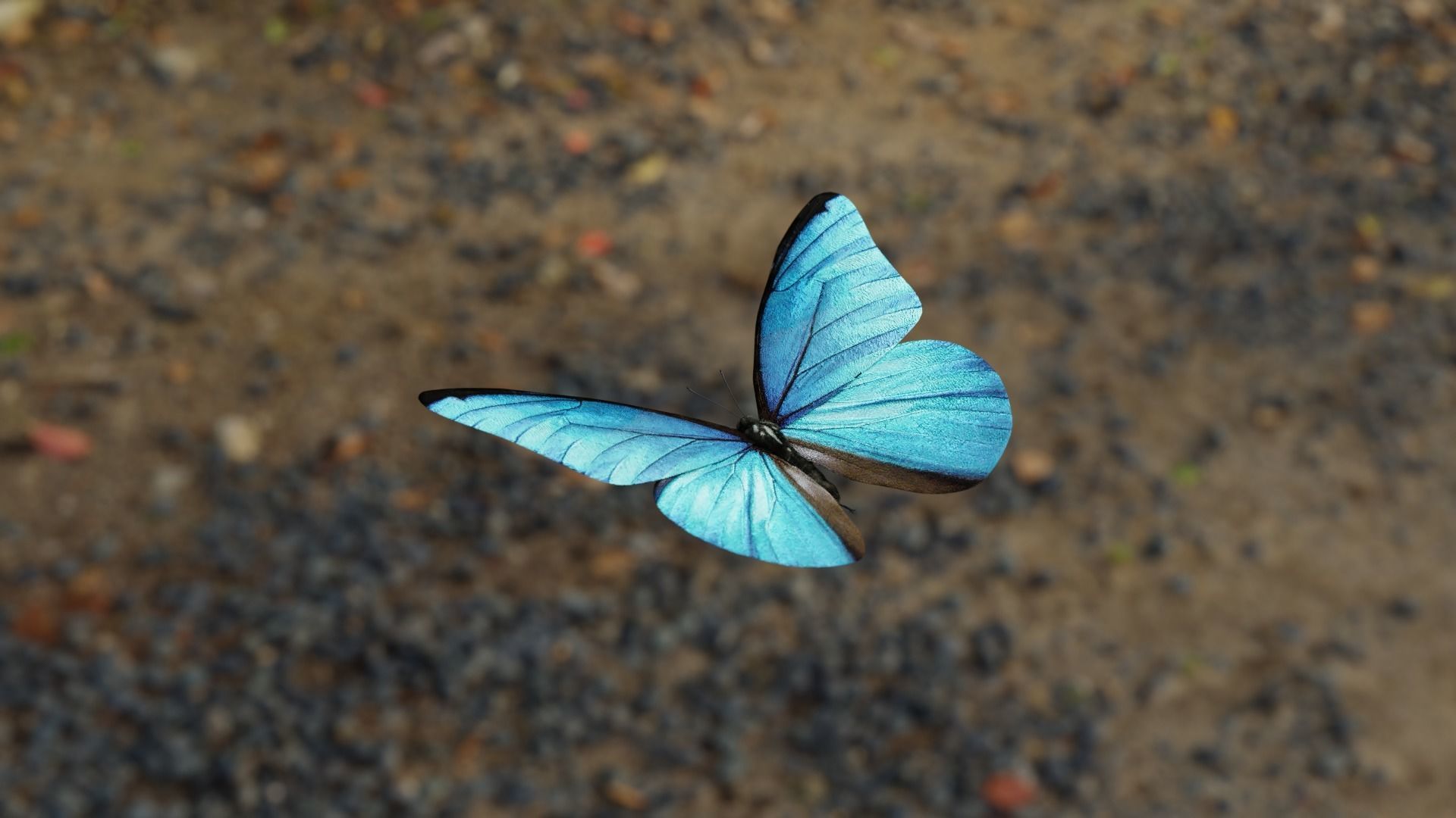 Blue Morpho Butterfly Low-poly 3D model_4