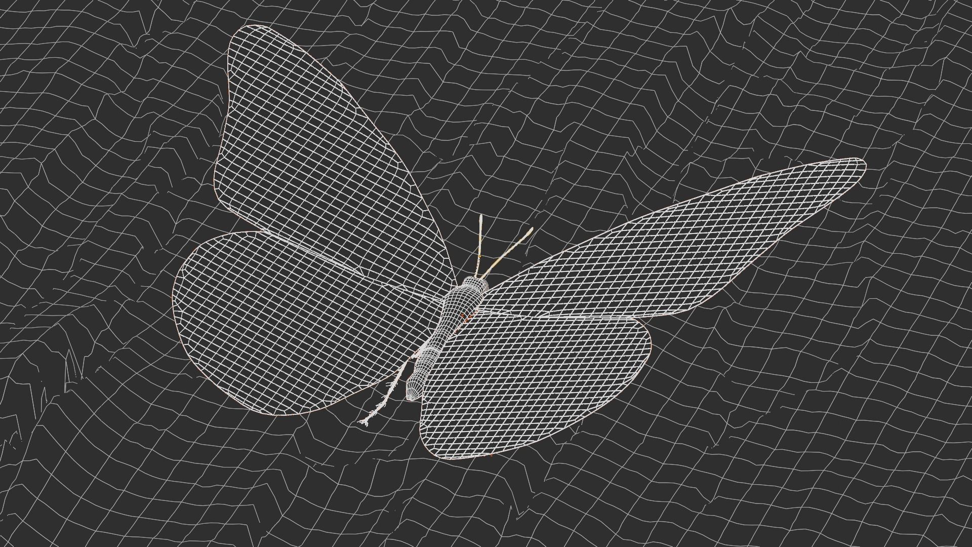 Blue Morpho Butterfly Low-poly 3D model_15