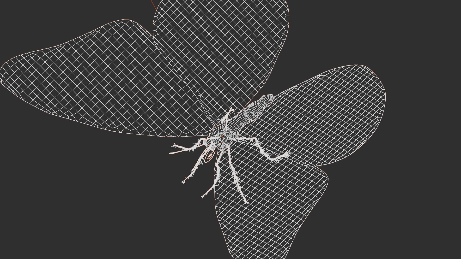 Blue Morpho Butterfly Low-poly 3D model_16