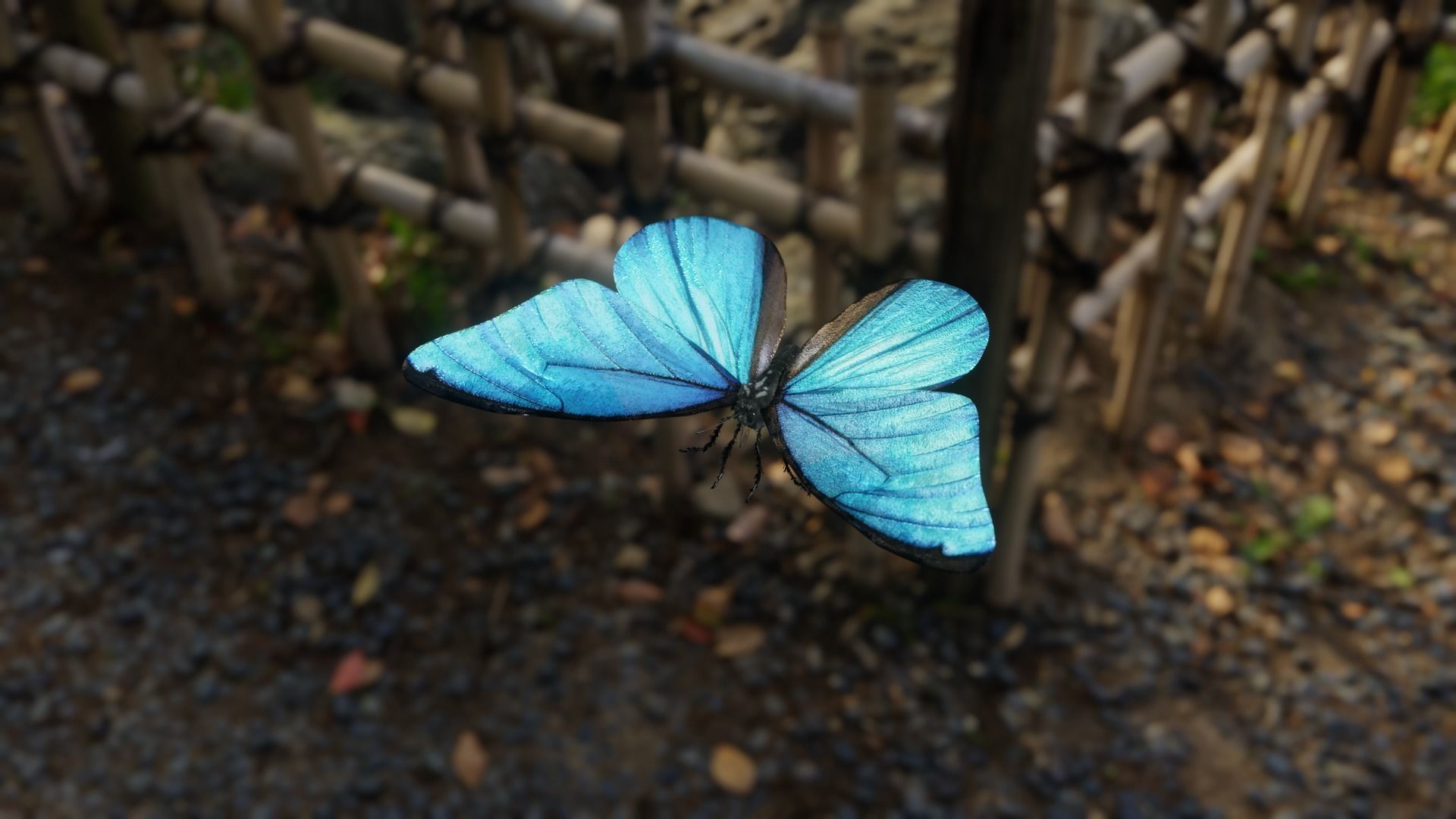 Blue Morpho Butterfly Low-poly 3D model_7