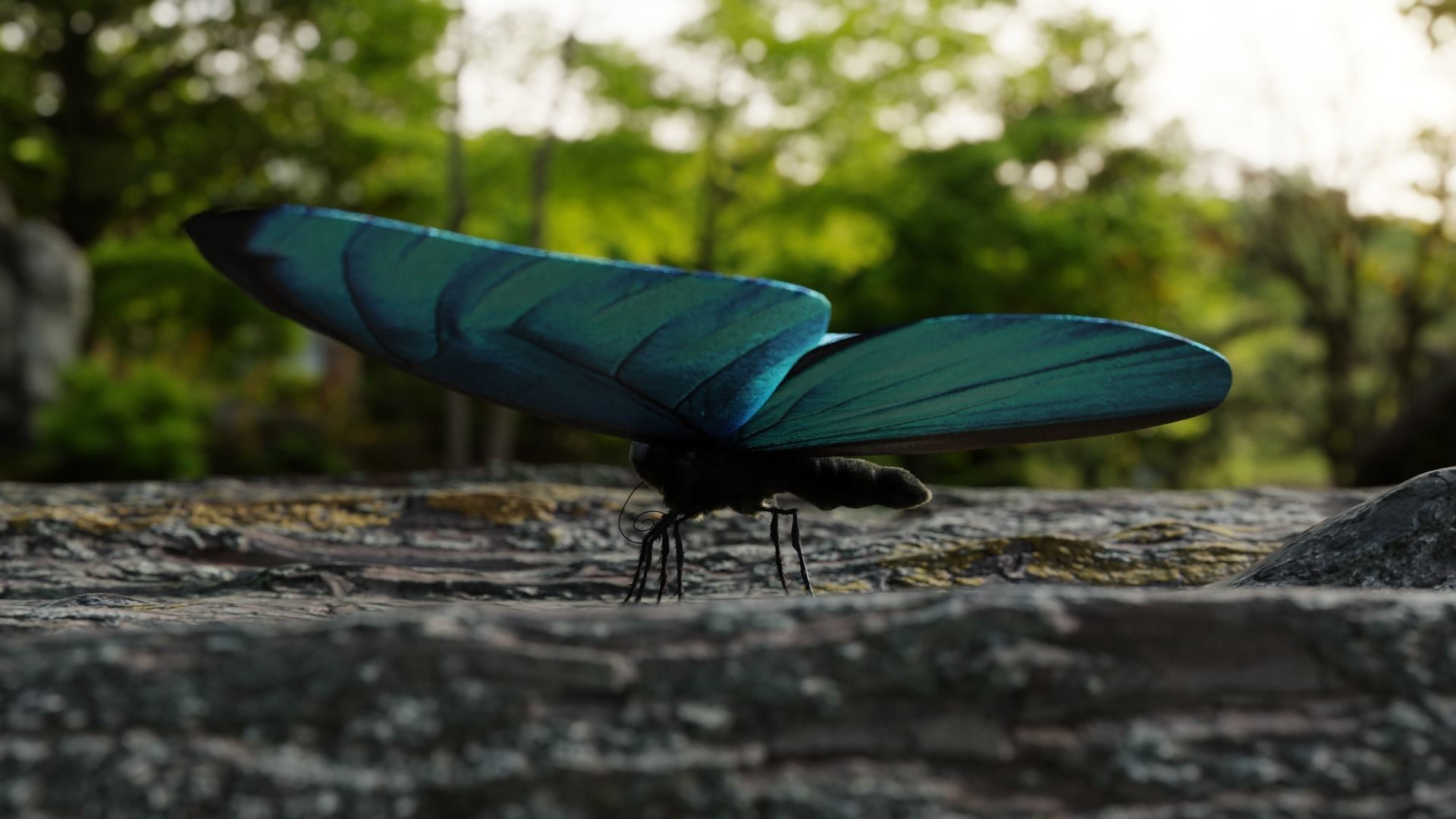 Blue Morpho Butterfly Low-poly 3D model_13