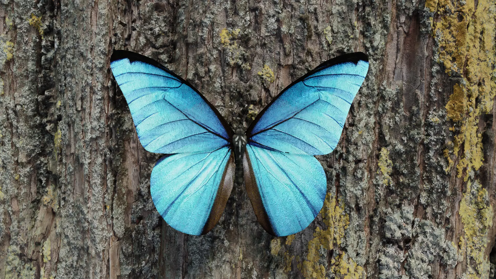 Blue Morpho Butterfly Low-poly 3D model_0