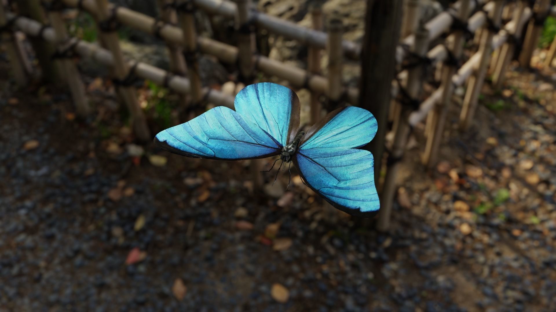Blue Morpho Butterfly Low-poly 3D model_8