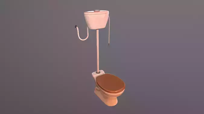 Old Toilet