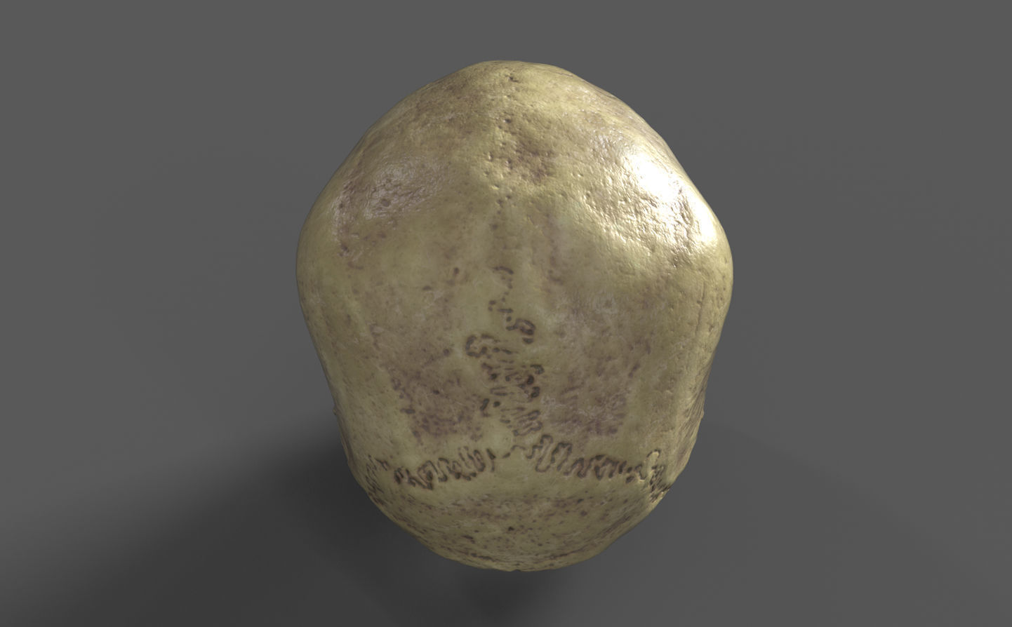 Human Skull - 3D Scan - UV Unwrapped - Textured - Royalty Free Low-poly 3D model_4