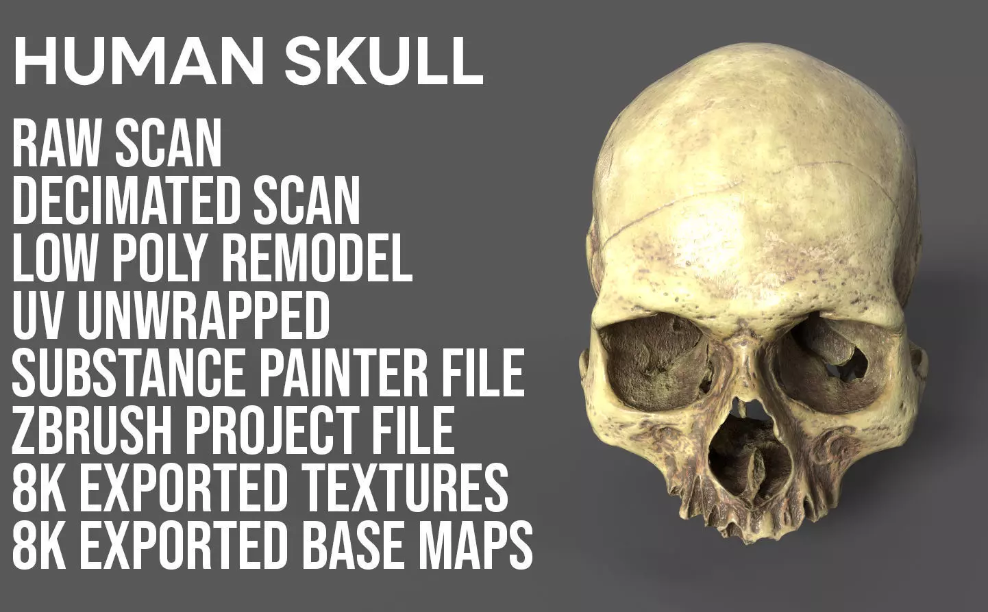Human Skull - 3D Scan - UV Unwrapped - Textured - Royalty Free Low-poly 3D model_0