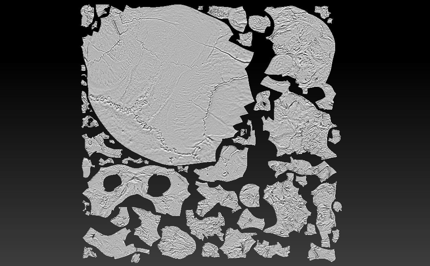 Human Skull - 3D Scan - UV Unwrapped - Textured - Royalty Free Low-poly 3D model_5