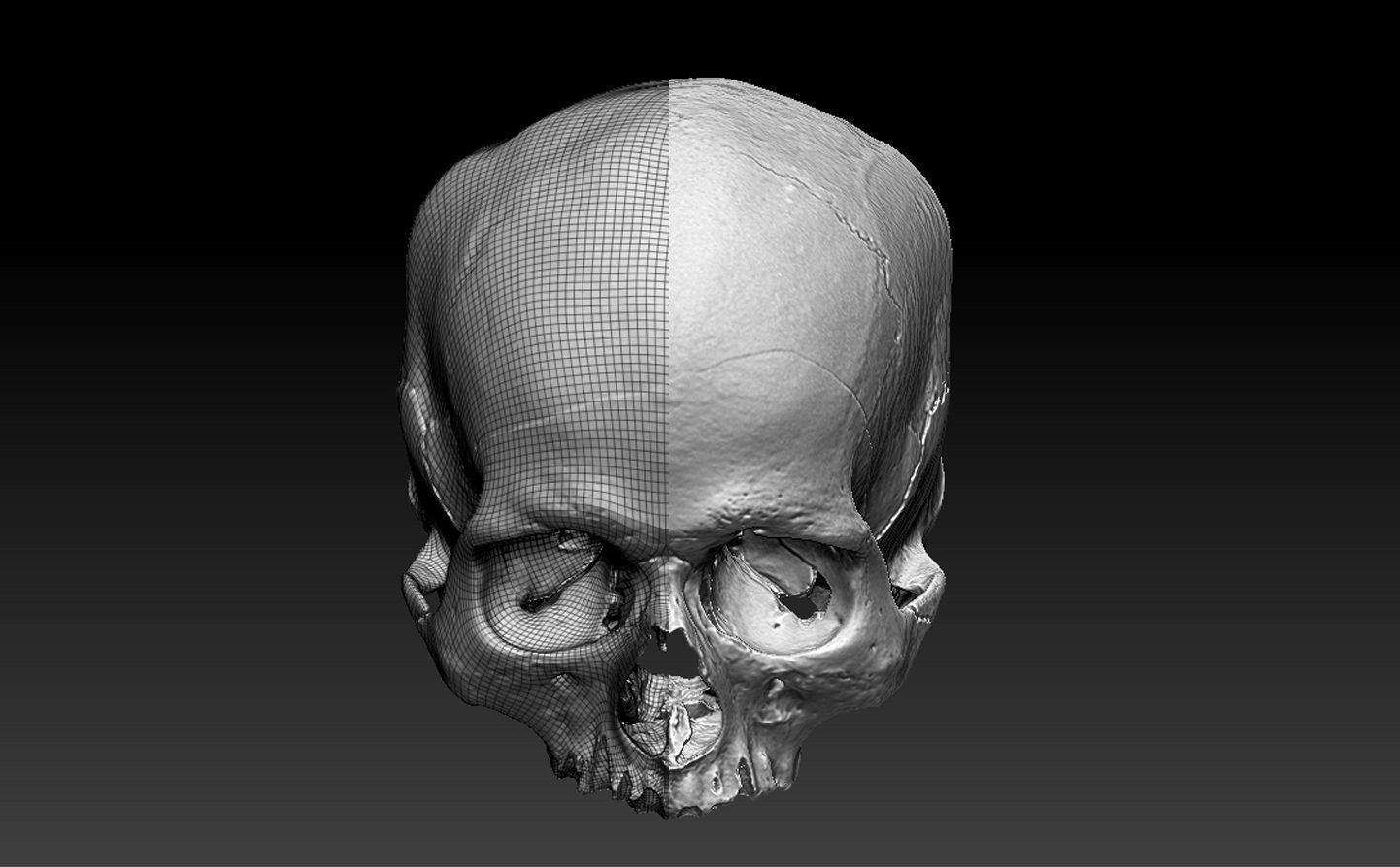 Human Skull - 3D Scan - UV Unwrapped - Textured - Royalty Free Low-poly 3D model_7