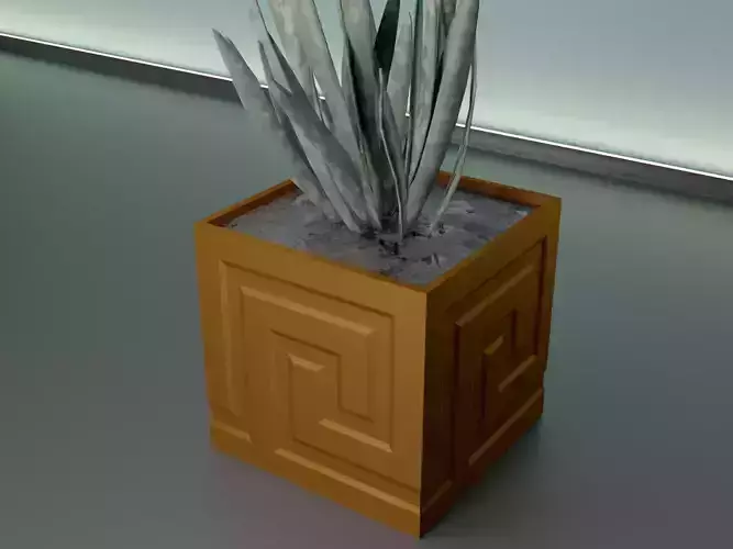 succulent plant pot 31