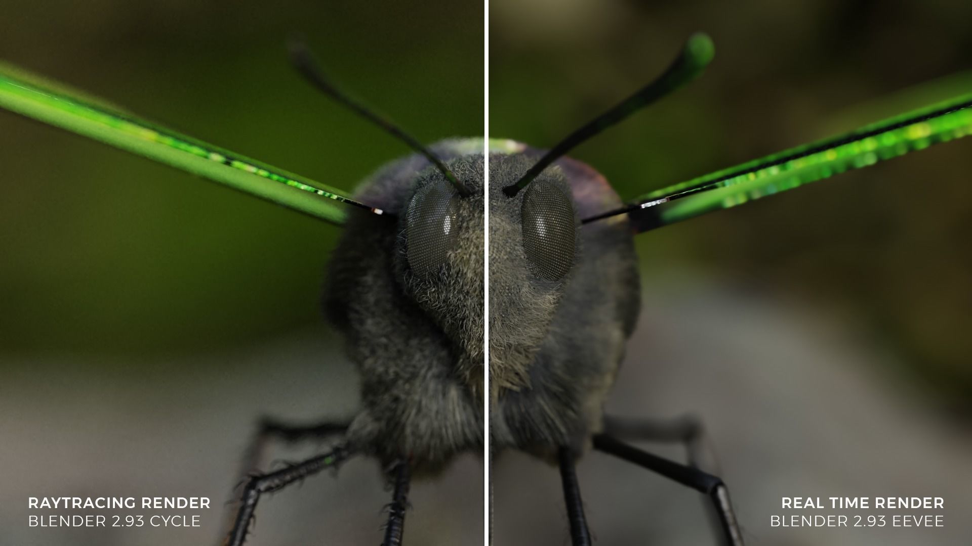 Green Birdwing Butterfly Low-poly 3D model_1