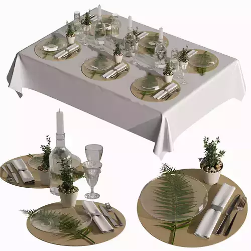 Table setting 03 3D model
