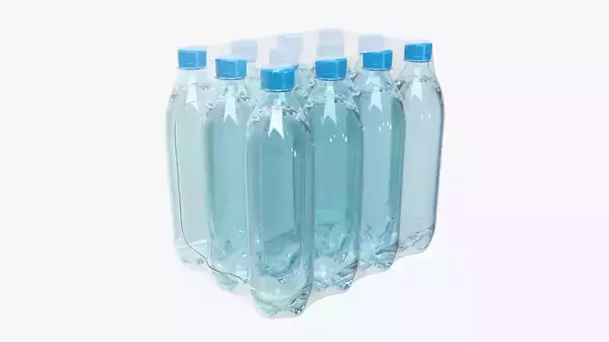 Wrapped water bottle twelve-pack